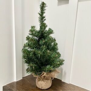 Mini Christmas Pine Tree with burlap wrap base